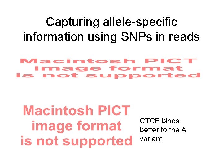 Capturing allele-specific information using SNPs in reads CTCF binds better to the A variant