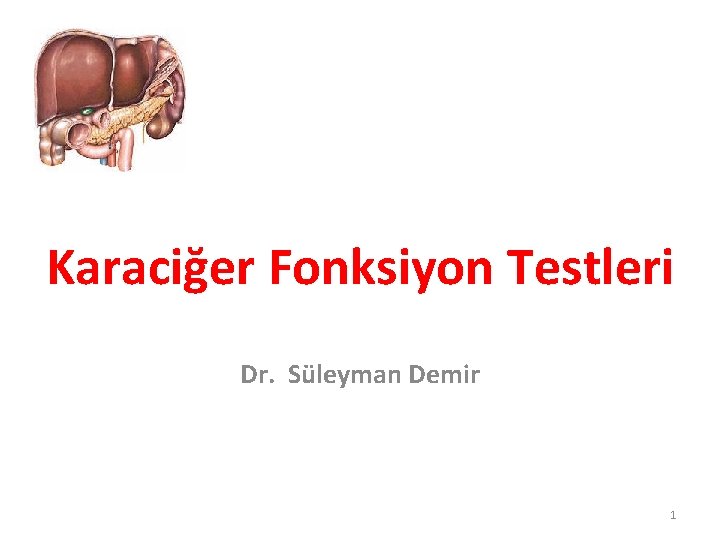 Karaciğer Fonksiyon Testleri Dr. Süleyman Demir 1 