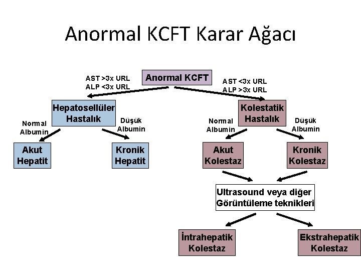 Anormal KCFT Karar Ağacı AST >3 x URL ALP <3 x URL Normal Albumin