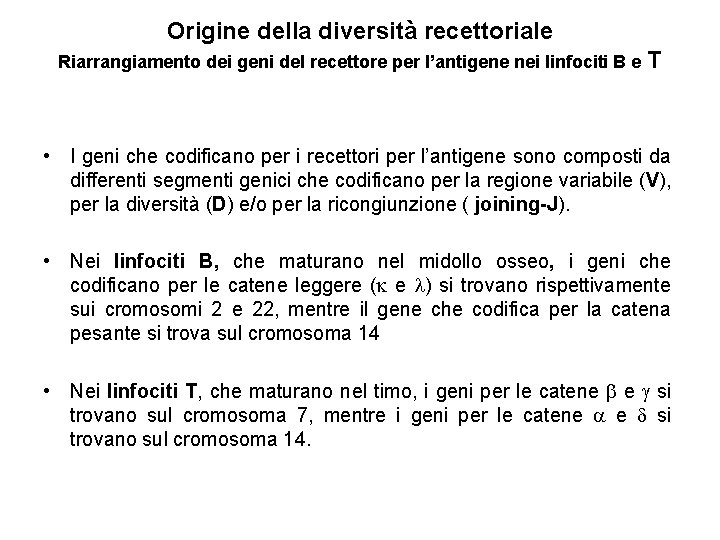 Origine della diversità recettoriale Riarrangiamento dei geni del recettore per l’antigene nei linfociti B