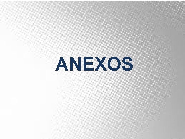ANEXOS 