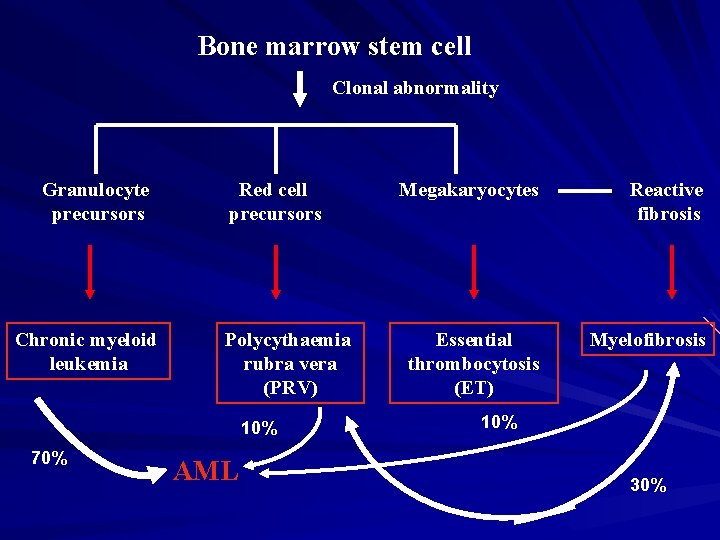 Bone marrow stem cell Clonal abnormality Granulocyte precursors Chronic myeloid leukemia Red cell precursors