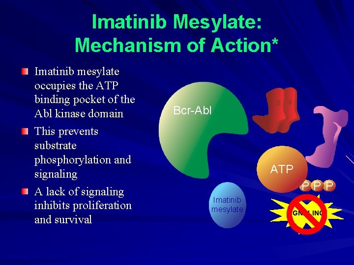 Imatinib Mesylate: Mechanism of Action* Imatinib mesylate occupies the ATP binding pocket of the