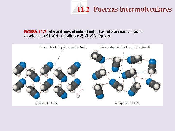 11. 2 Fuerzas intermoleculares FIGURA 11. 7 Interacciones dipolo-dipolo. Las interacciones dipolo en a)