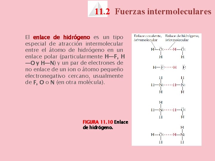 11. 2 Fuerzas intermoleculares El enlace de hidrógeno es un tipo especial de atracción