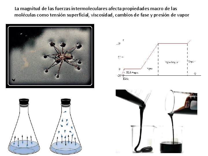 La magnitud de las fuerzas intermoleculares afecta propiedades macro de las moléculas como tensión