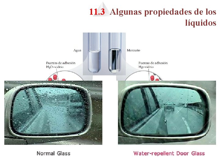 11. 3 Algunas propiedades de los líquidos FIGURA 11. 19 Formas de meniscos para