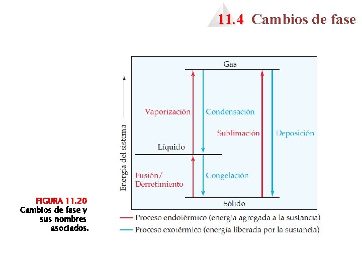 11. 4 Cambios de fase FIGURA 11. 20 Cambios de fase y sus nombres