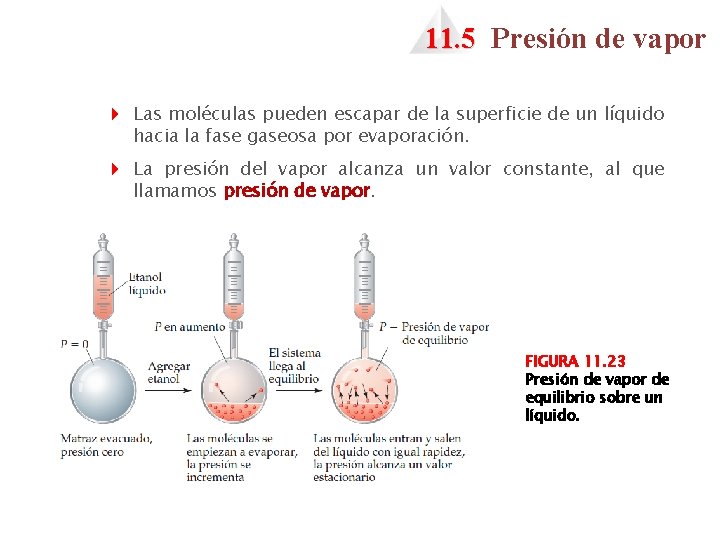 11. 5 Presión de vapor 4 Las moléculas pueden escapar de la superficie de