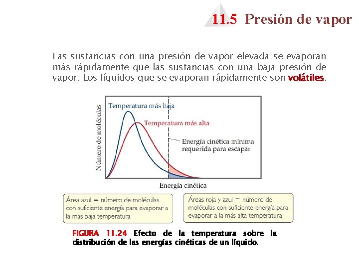 11. 5 Presión de vapor Las sustancias con una presión de vapor elevada se