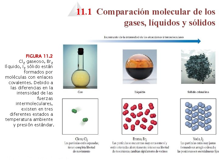 11. 1 Comparación molecular de los gases, líquidos y sólidos FIGURA 11. 2 Cl