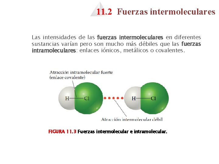 11. 2 Fuerzas intermoleculares Las intensidades de las fuerzas intermoleculares en diferentes sustancias varían