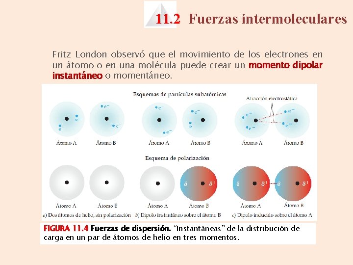 11. 2 Fuerzas intermoleculares Fritz London observó que el movimiento de los electrones en