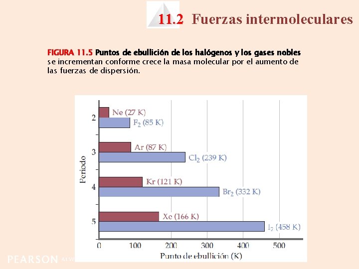 11. 2 Fuerzas intermoleculares FIGURA 11. 5 Puntos de ebullición de los halógenos y