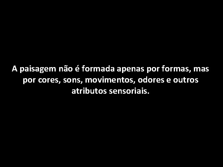 A paisagem não é formada apenas por formas, mas por cores, sons, movimentos, odores