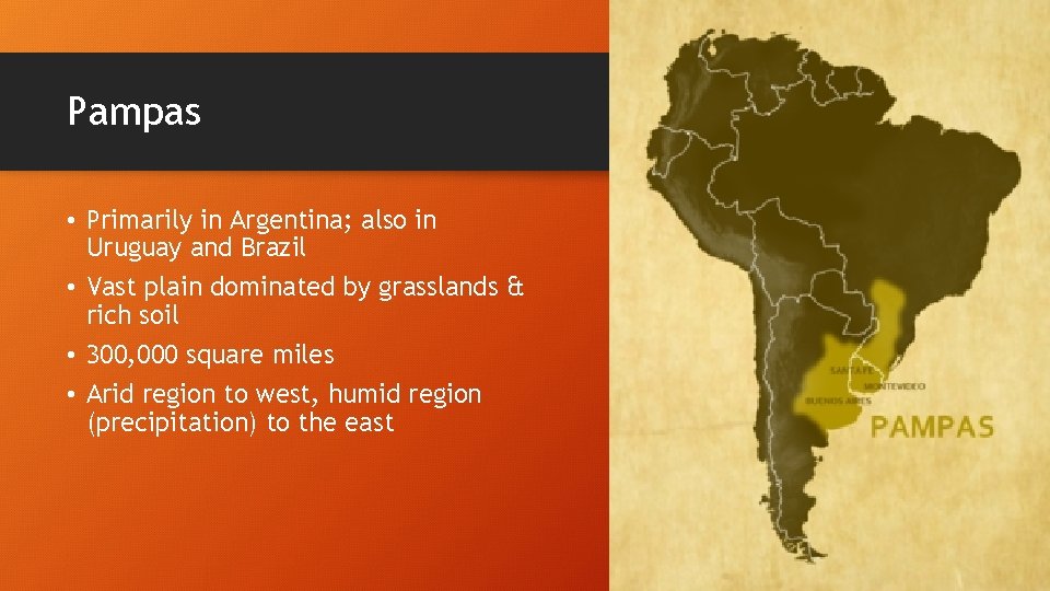 Pampas • Primarily in Argentina; also in Uruguay and Brazil • Vast plain dominated