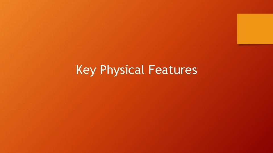 Key Physical Features 