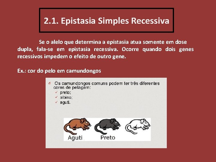 2. 1. Epistasia Simples Recessiva Se o alelo que determina a epistasia atua somente