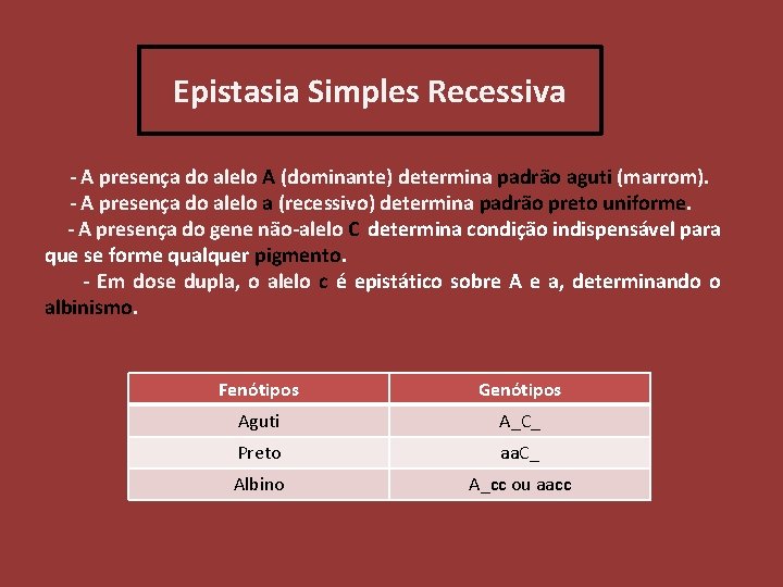 Epistasia Simples Recessiva - A presença do alelo A (dominante) determina padrão aguti (marrom).