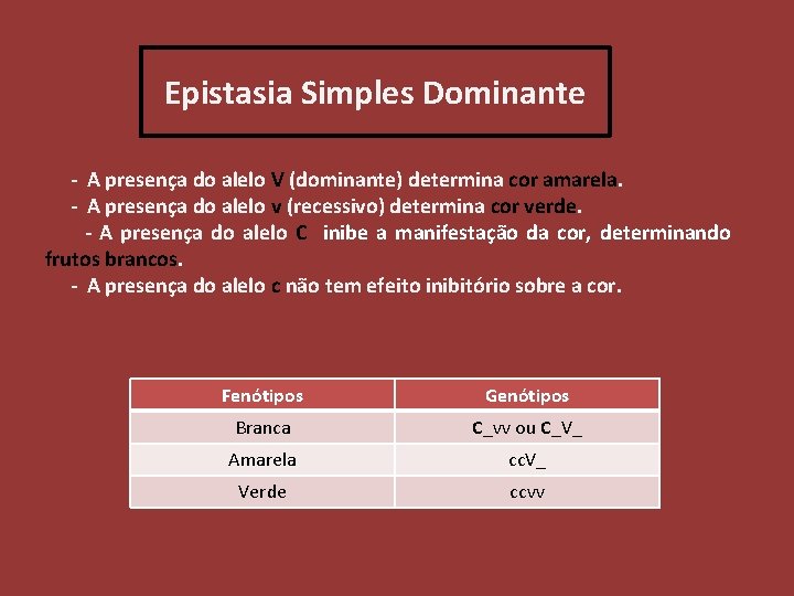 Epistasia Simples Dominante - A presença do alelo V (dominante) determina cor amarela. -