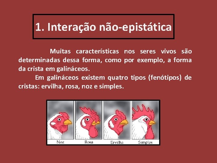 1. Interação não-epistática Muitas características nos seres vivos são determinadas dessa forma, como por