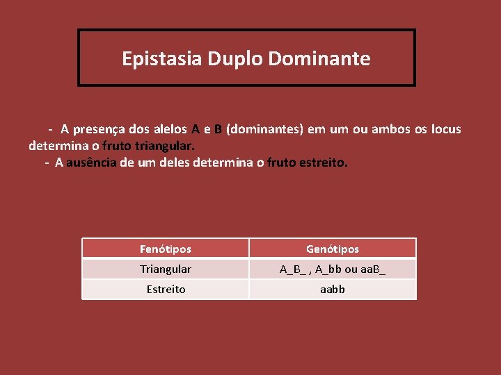 Epistasia Duplo Dominante - A presença dos alelos A e B (dominantes) em um