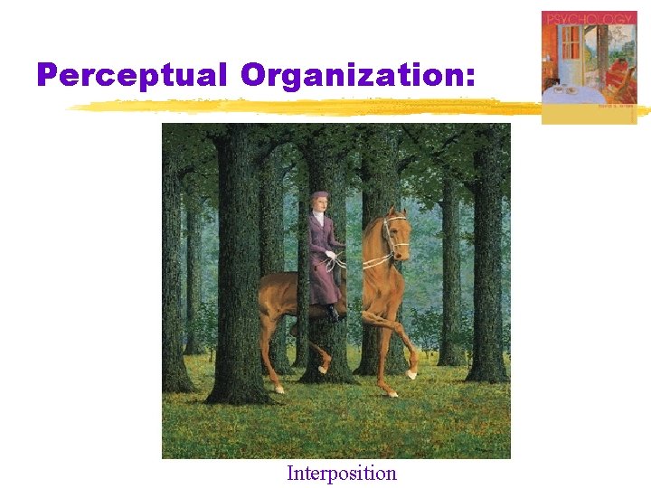 Perceptual Organization: Interposition 