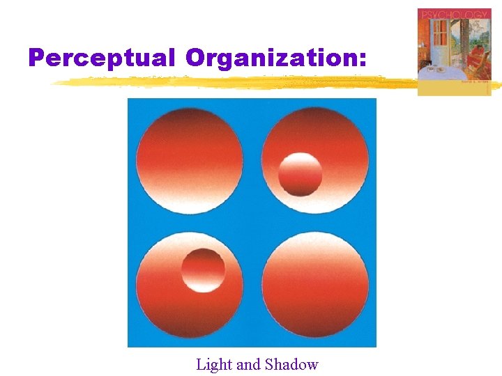 Perceptual Organization: Light and Shadow 