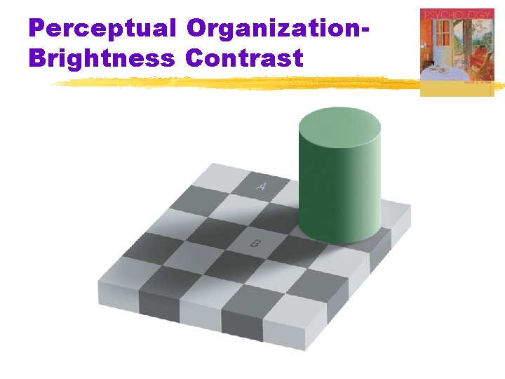 Perceptual Organization. Brightness Contrast 
