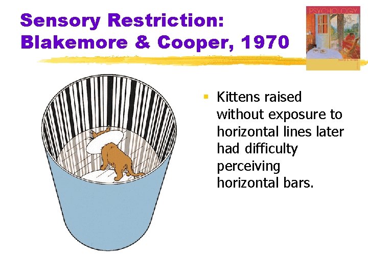 Sensory Restriction: Blakemore & Cooper, 1970 § Kittens raised without exposure to horizontal lines