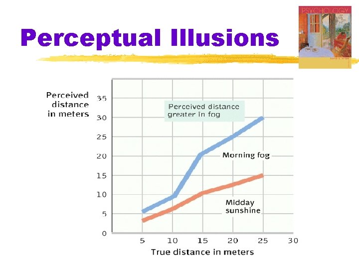 Perceptual Illusions 