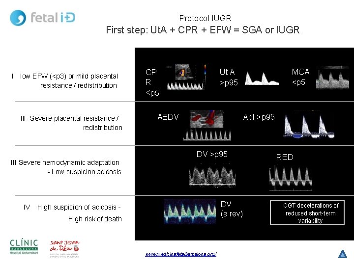 Protocol IUGR First step: Ut. A + CPR + EFW = SGA or IUGR