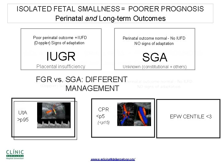 ISOLATED FETAL SMALLNESS = POORER PROGNOSIS Perinatal and Long term Outcomes Poor perinatal outcome