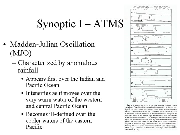 Synoptic I – ATMS 410 • Madden-Julian Oscillation (MJO) – Characterized by anomalous rainfall Synoptic I – ATMS 410 • Madden-Julian Oscillation (MJO) – Characterized by anomalous rainfall