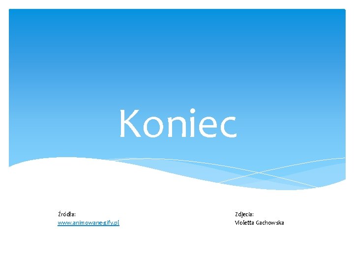 Koniec Źródła: www. animowane-gify. pl Zdjecia: Violetta Gachowska Koniec Źródła: www. animowane-gify. pl Zdjecia: Violetta Gachowska