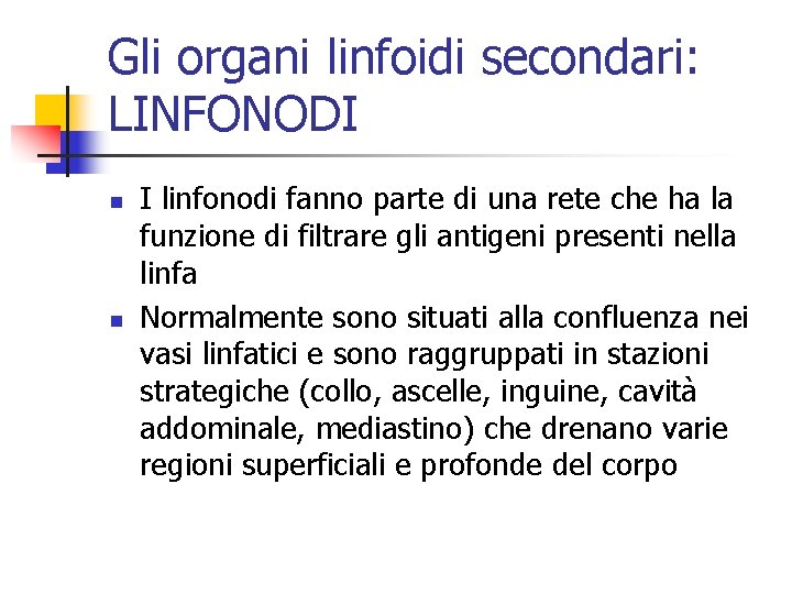 Gli organi linfoidi secondari: LINFONODI n n I linfonodi fanno parte di una rete