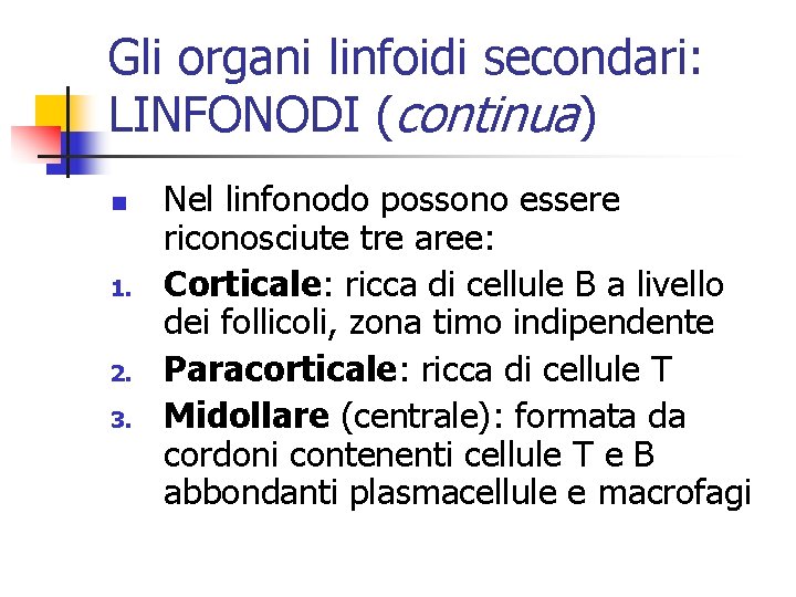 Gli organi linfoidi secondari: LINFONODI (continua) n 1. 2. 3. Nel linfonodo possono essere