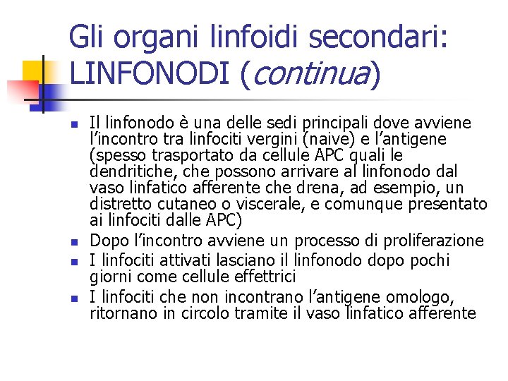 Gli organi linfoidi secondari: LINFONODI (continua) n n Il linfonodo è una delle sedi