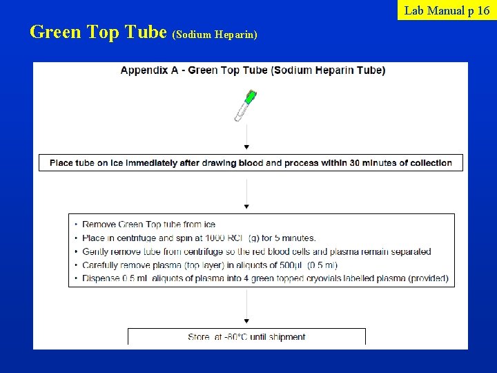 Lab Manual p 16 Green Top Tube (Sodium Heparin) 