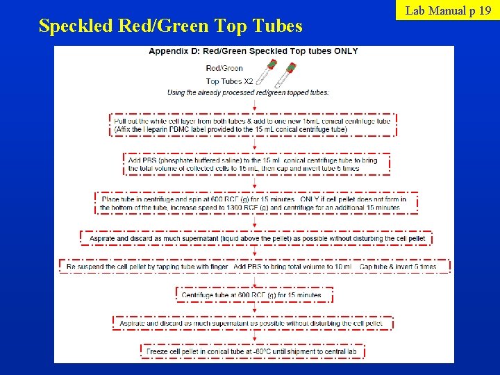 Speckled Red/Green Top Tubes Lab Manual p 19 