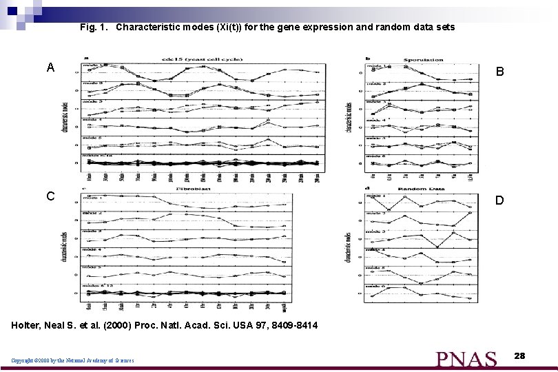 Fig. 1. Characteristic modes (Xi(t)) for the gene expression and random data sets A