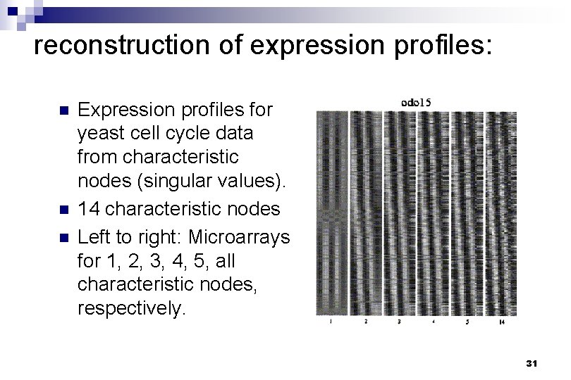 reconstruction of expression profiles: n n n Expression profiles for yeast cell cycle data