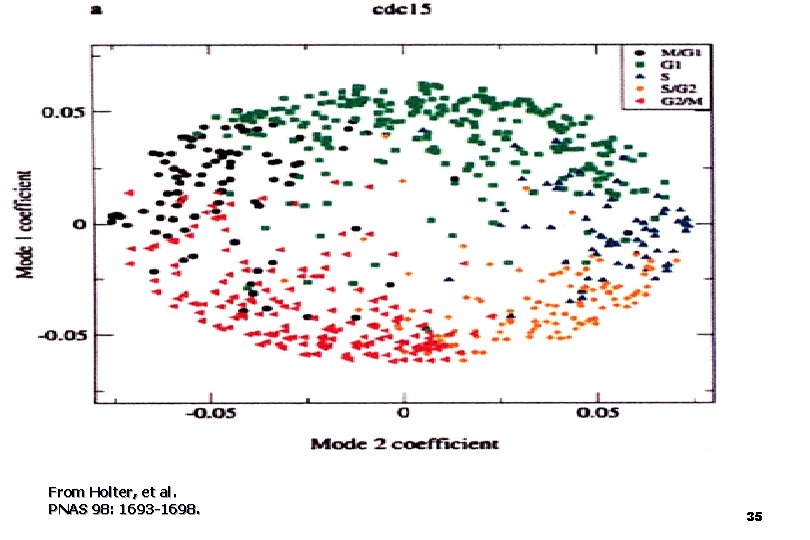 From Holter, et al. PNAS 98: 1693 -1698. 35 