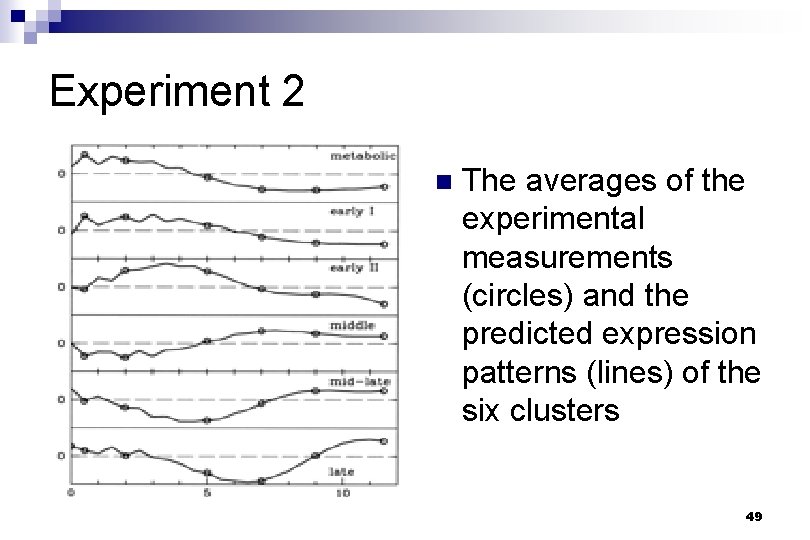 Experiment 2 n The averages of the experimental measurements (circles) and the predicted expression