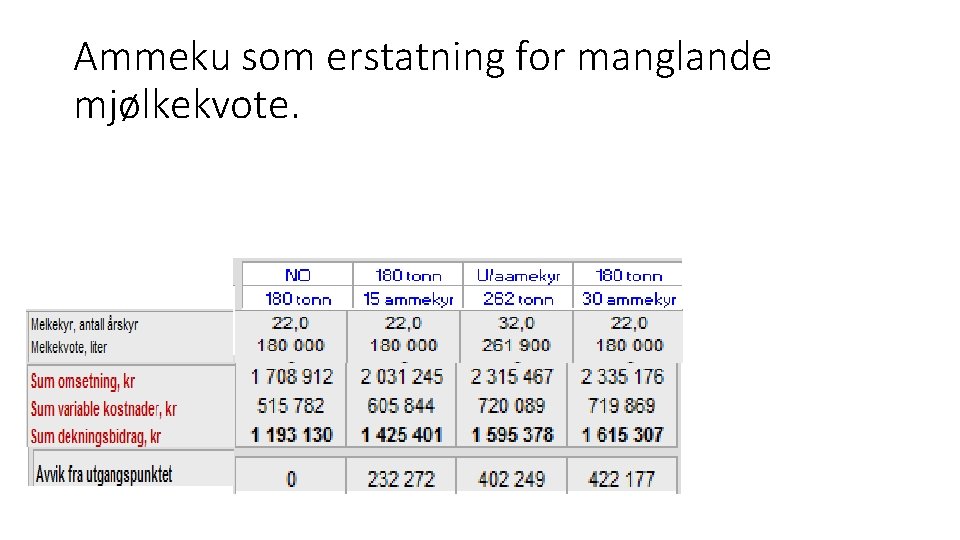 Ammeku som erstatning for manglande mjølkekvote. 