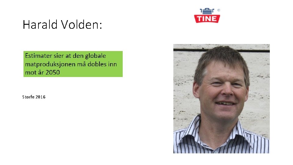 Harald Volden: Storfe 2016 