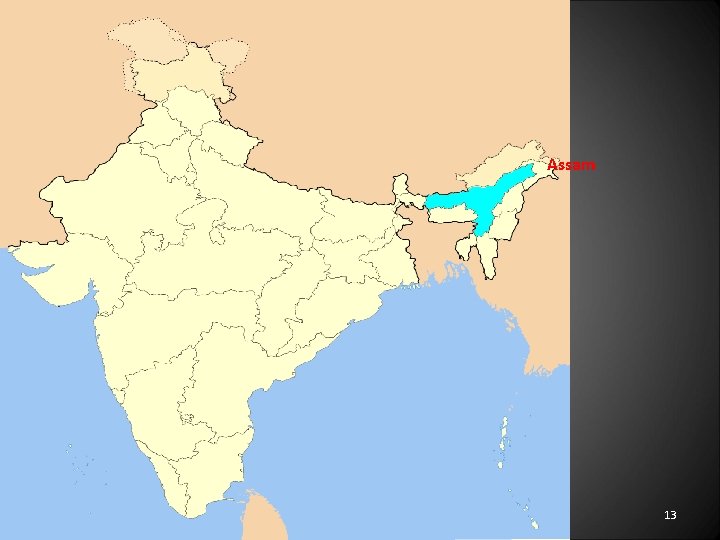 Assam 13 