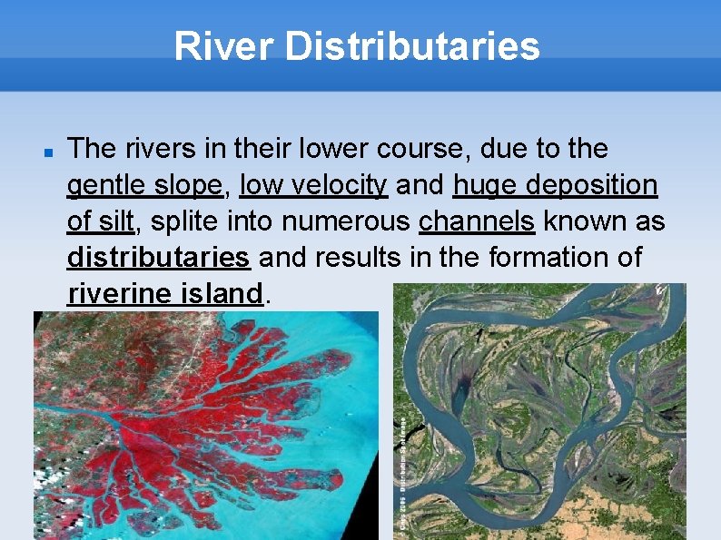 River Distributaries The rivers in their lower course, due to the gentle slope, low