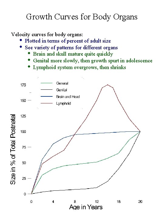 Growth Curves for Body Organs Velocity curves for body organs: • Plotted in terms