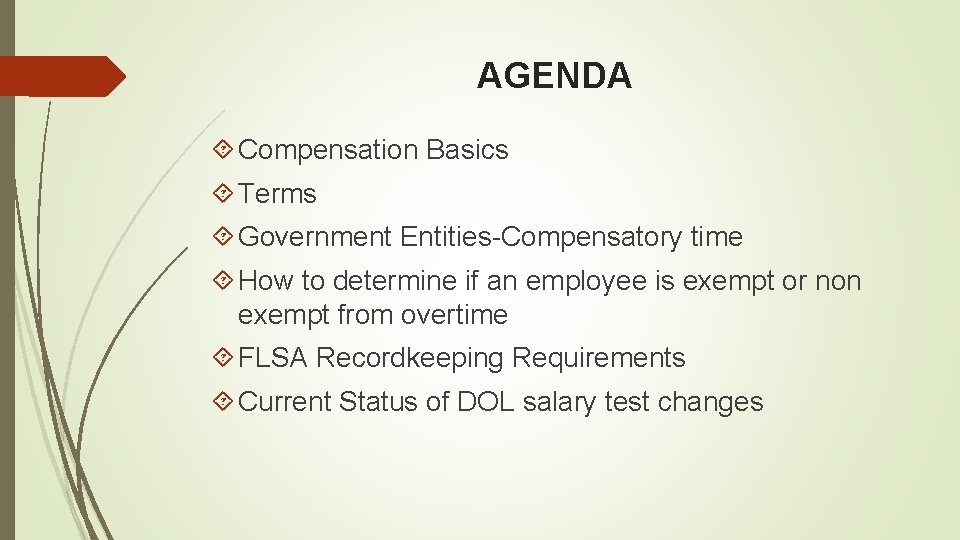 AGENDA Compensation Basics Terms Government Entities-Compensatory time How to determine if an employee is